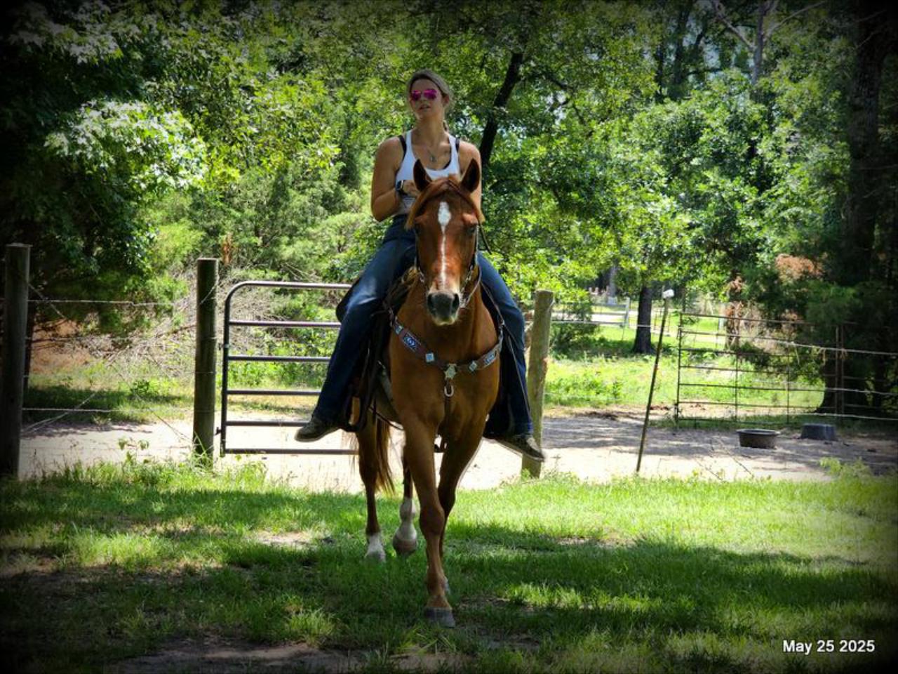 Smart Little Buzz AKA hawk