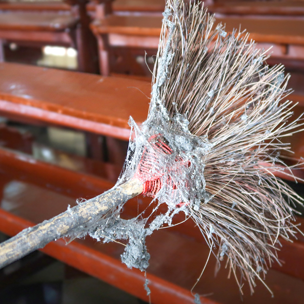 Understanding Cobwebs: Formation, Removal, and Prevention 