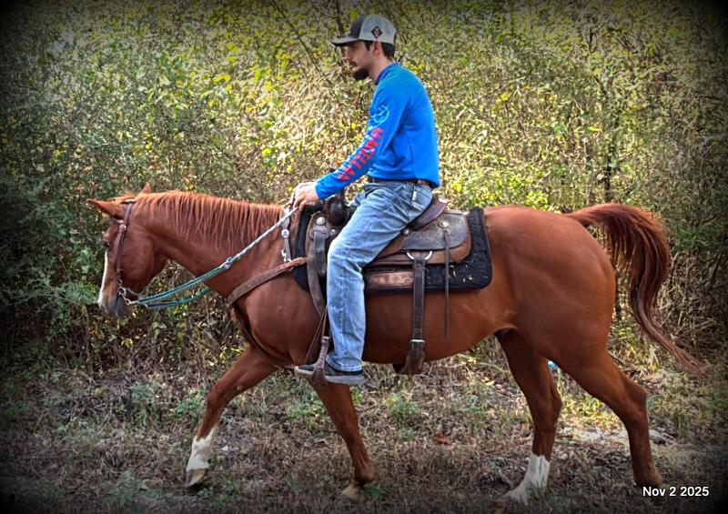 💚Ranger Safe for All Ages💚