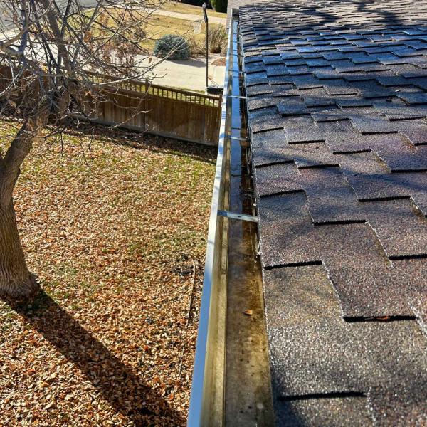 Gutter Cleaning