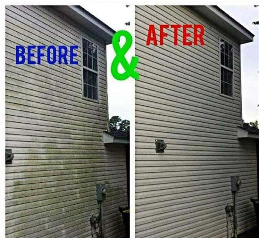 Central Michigan Roof Cleaning & Softwashing Specialists