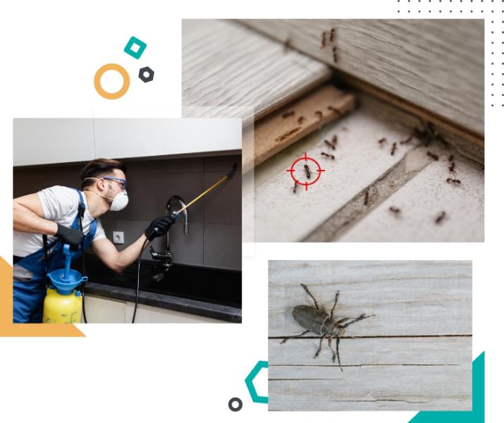 Pest Control Website examples