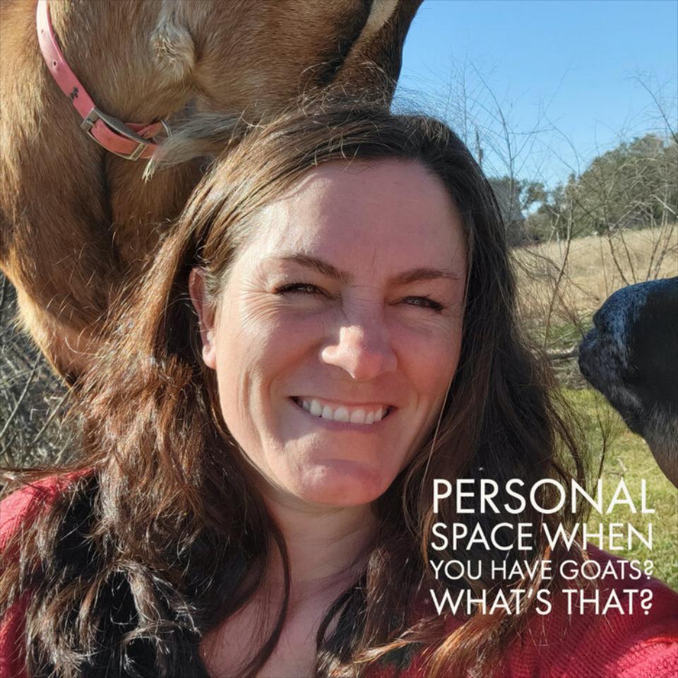 IT ALL STARTED WHEN...