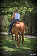 Smart Little Buzz AKA hawk