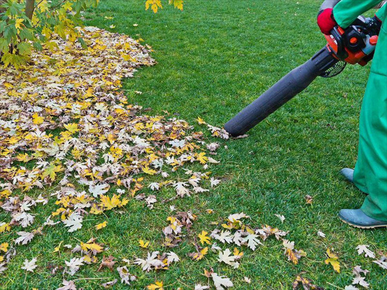 Spring & Fall Cleaning