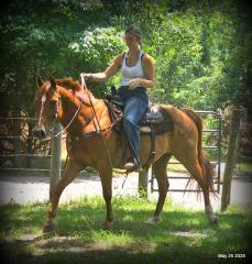 Smart Little Buzz AKA hawk