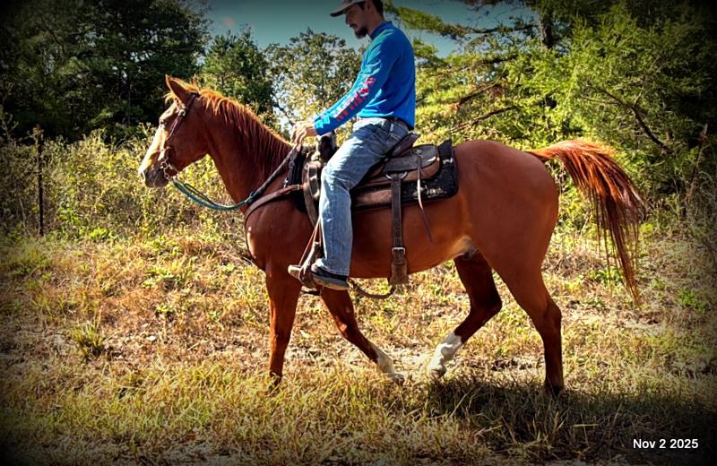 💚Ranger Safe for All Ages💚