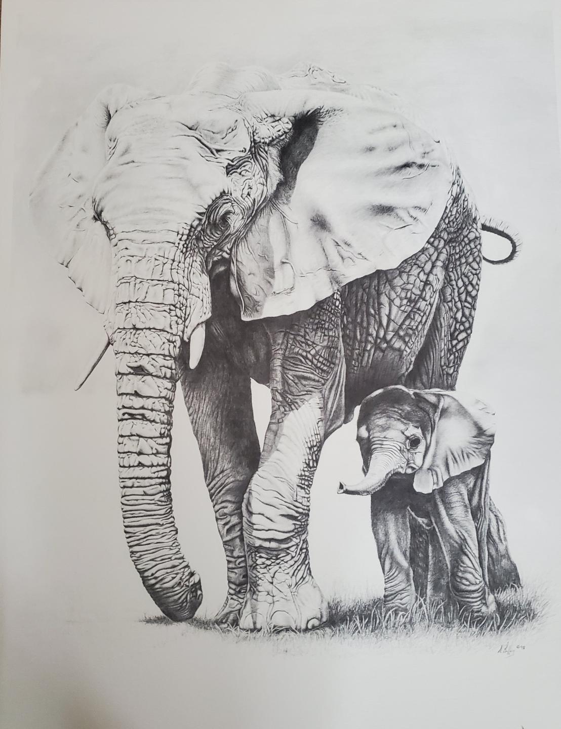 Gentle Giants