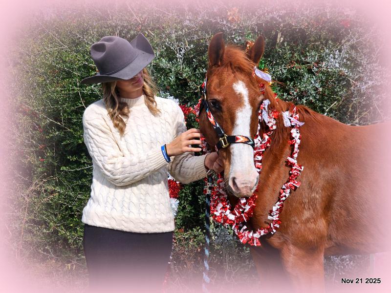 💚Ranger Safe for All Ages💚