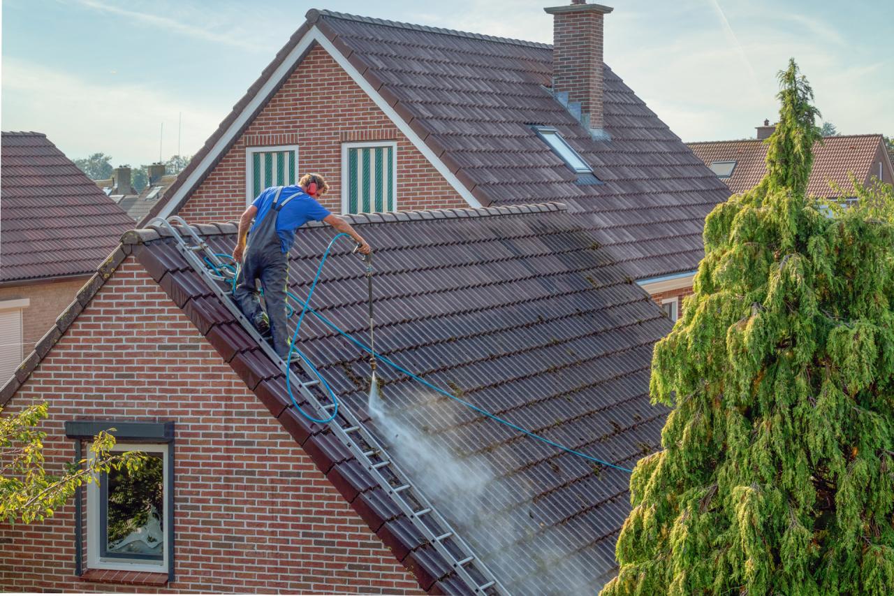 Roof Cleaning in Jacksonville, FL – Why Soft Wash Roof Washing is a Smart Investment