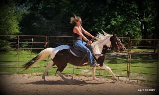 Montana – The Picture-Perfect Partner with All the Right Moves