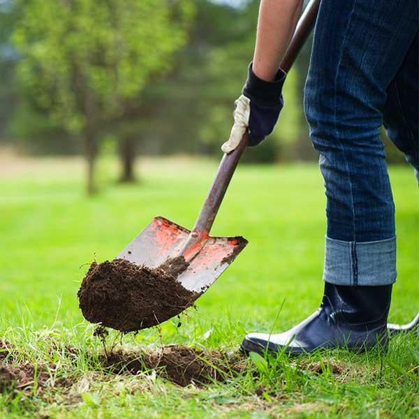 Utility Line Installation