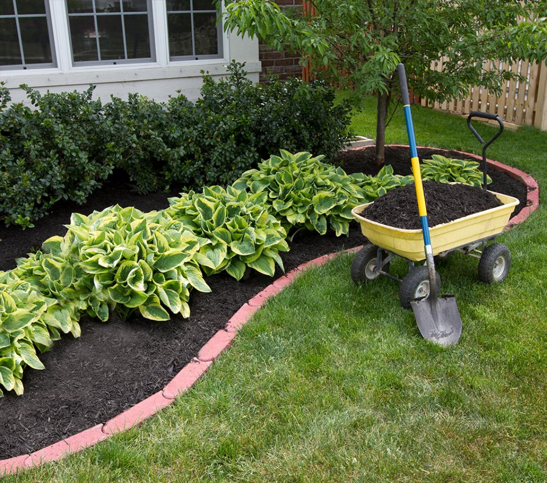Mulching