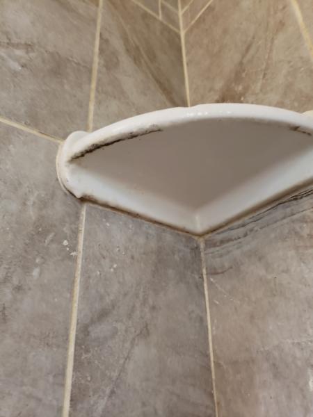 Janitorial Service In Durham NC Carrie's Cleaning Service