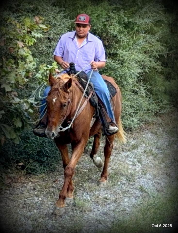 Biggie – Ranch-Tested, Family-Safe, and Ready to Ride!