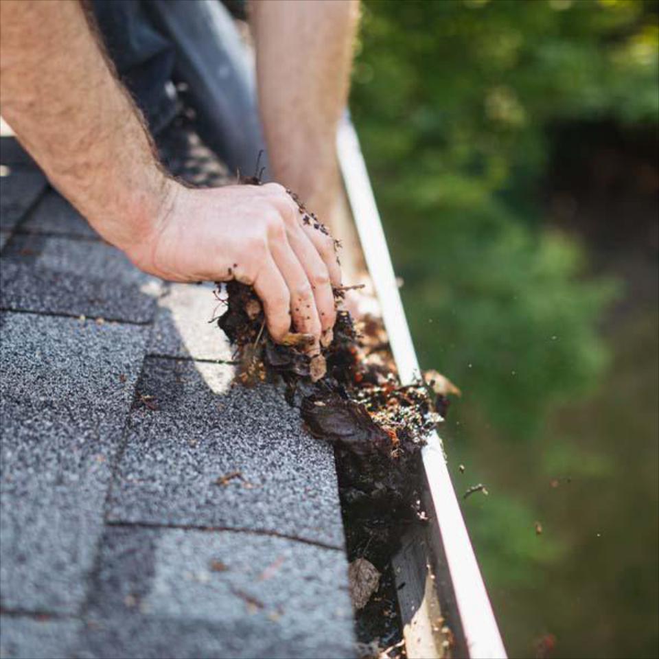 Gutter Cleaning