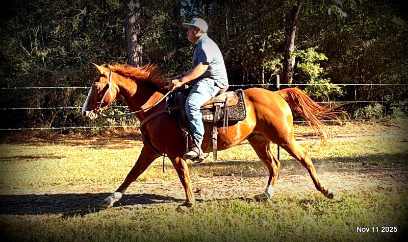 💚Ranger Safe for All Ages💚