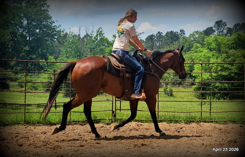 Darylslitlediablo (Diablo)