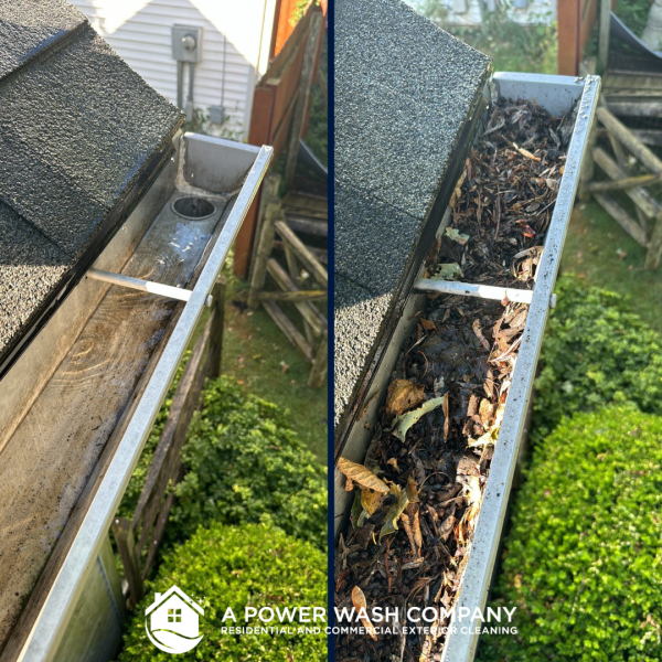 Professional Residential Gutter Cleaning Services