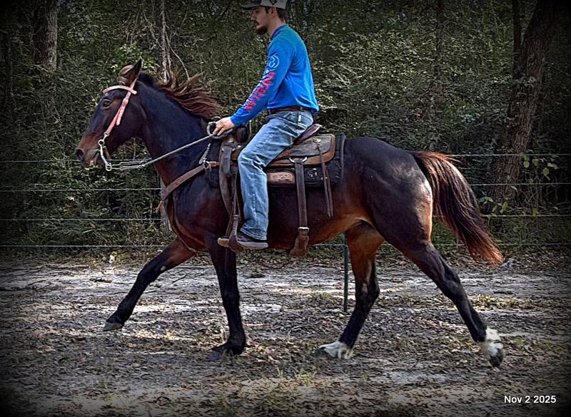 🧡Grace🧡 💔 ✨ The Underdog Who Deserves a Christmas Miracle ✨ 💔