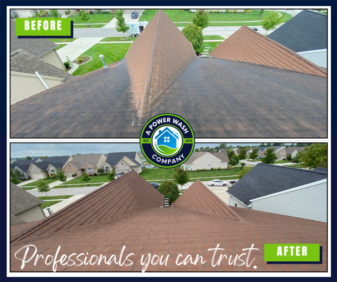 Experience Toledo OH&#39;s Premier Roof Cleaning Service