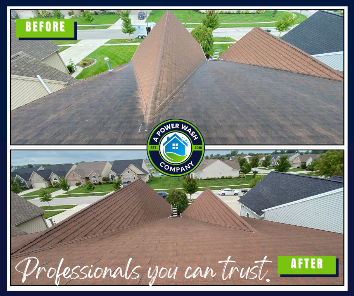 Experience Toledo OH's Premier Roof Cleaning Service