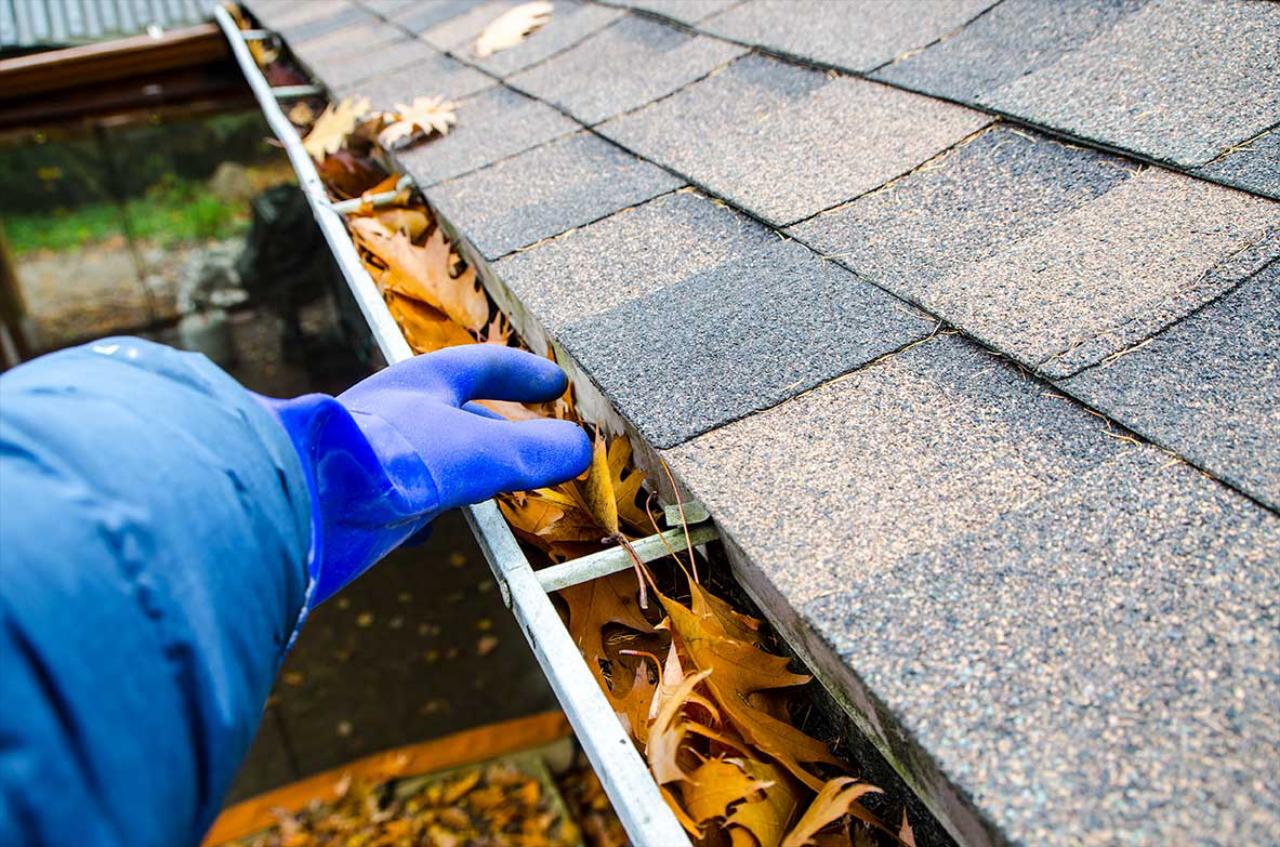 Thorough Gutter Cleaning to Maintain Efficiency