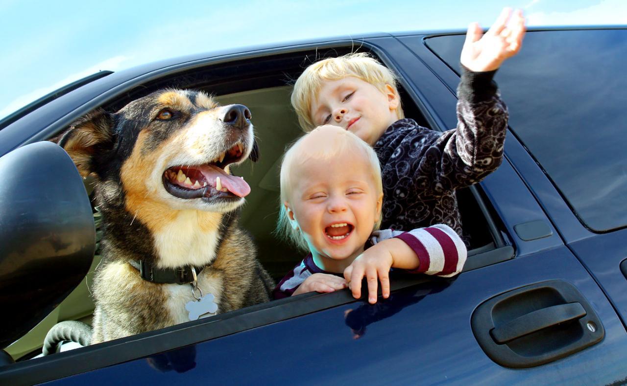 Get Your Driving Record Back on Track with Us