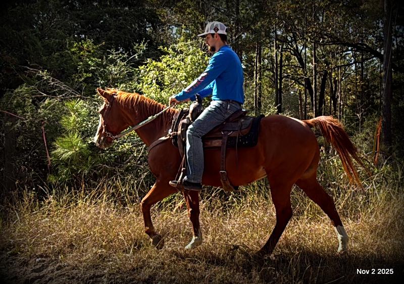 💚Ranger Safe for All Ages💚