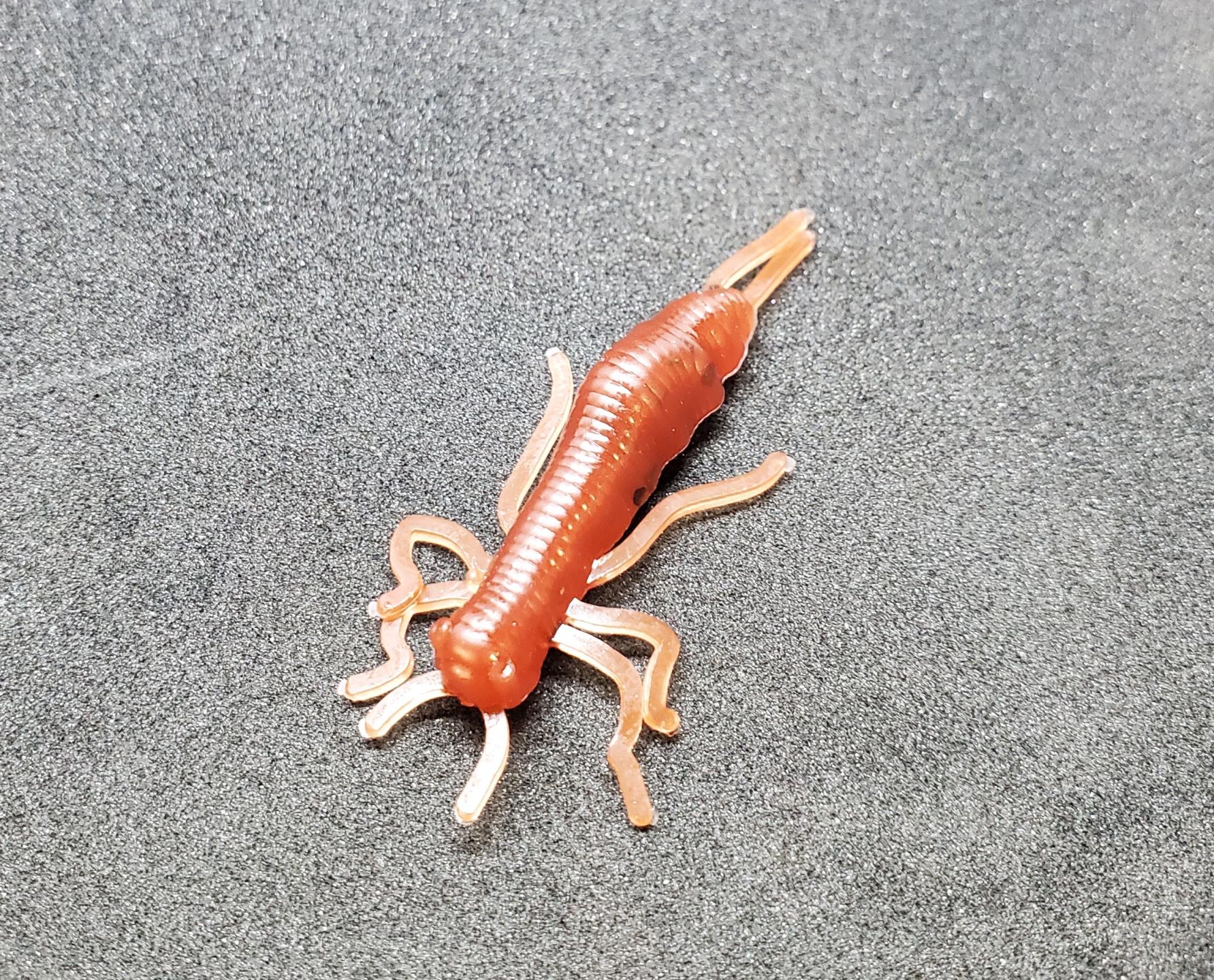 2" Crickets