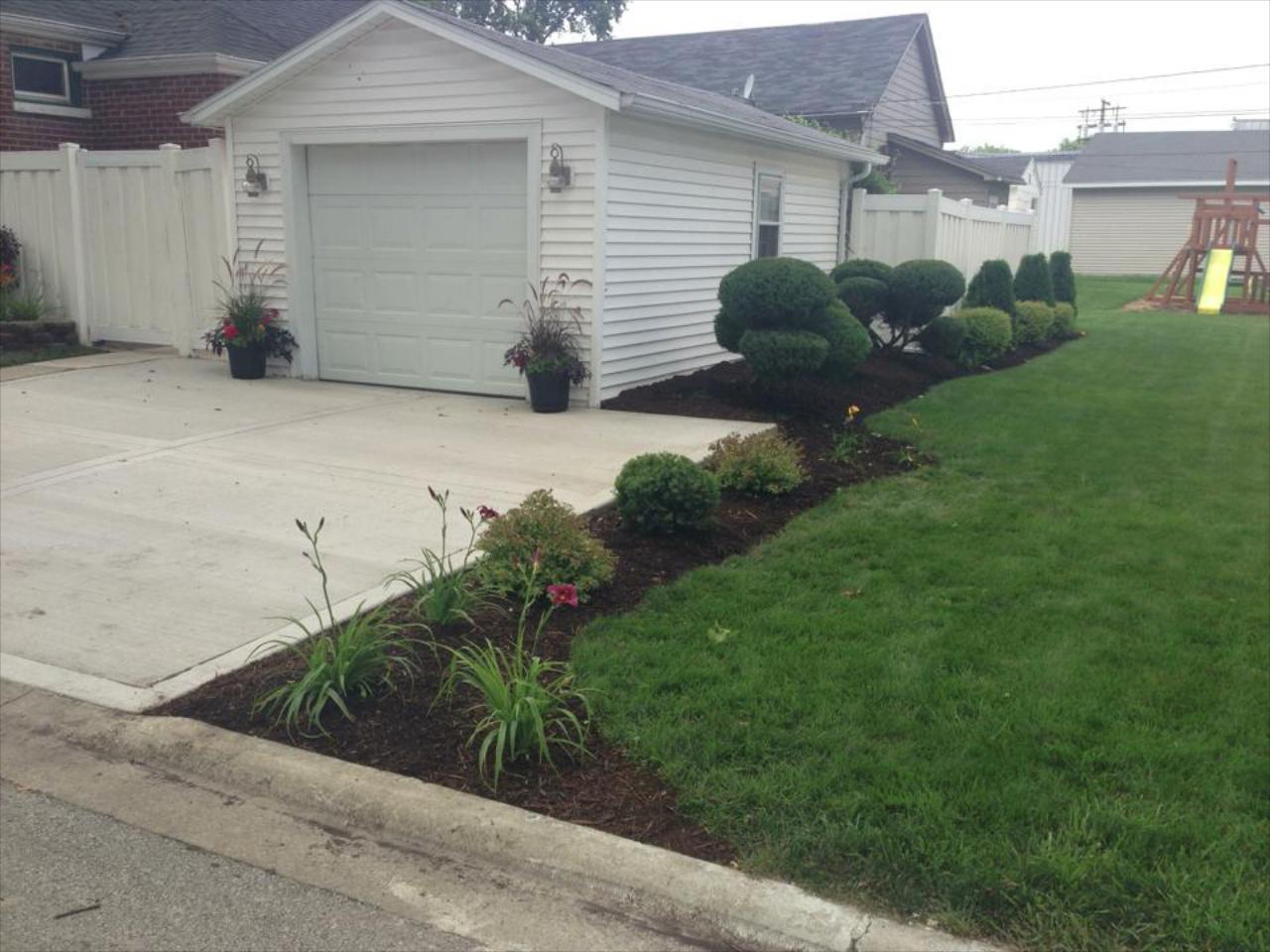 TREE & BUSH TRIMMING AND REMOVAL