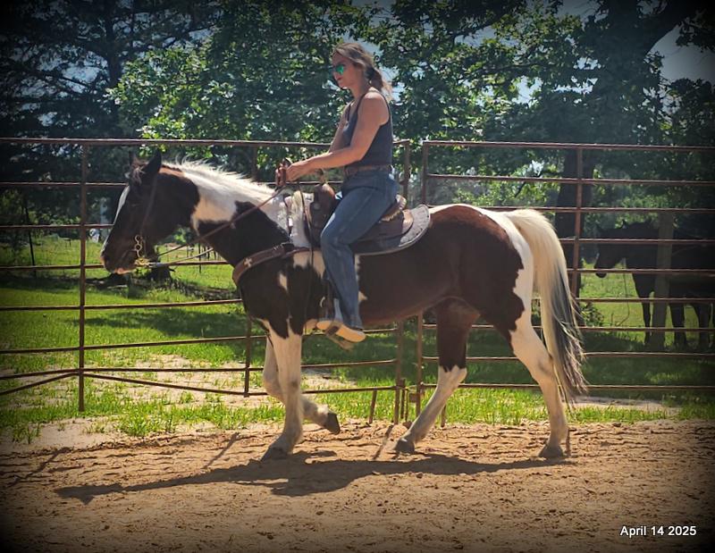 Montana – The Picture-Perfect Partner with All the Right Moves