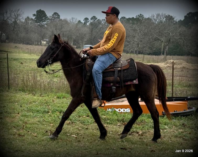 🩷❤️Pixie🩷❤️