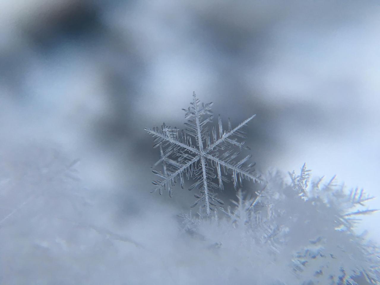 When It Snows, We're the Ones to Call!