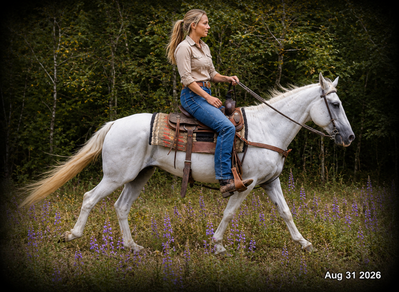 💛 🐴 Wisp • Beginner Safe, Smooth & Gentle Trail Mare 💛