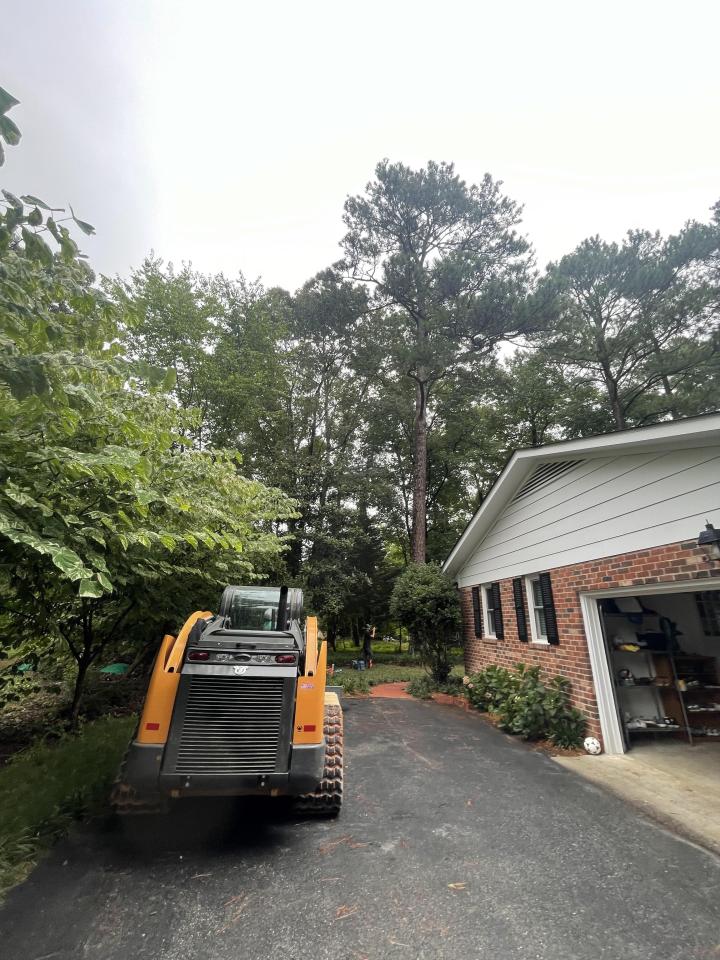 Tree Service In Ruther Glen, VA - Woodchuck Lawn & Tree LLC In Ruther