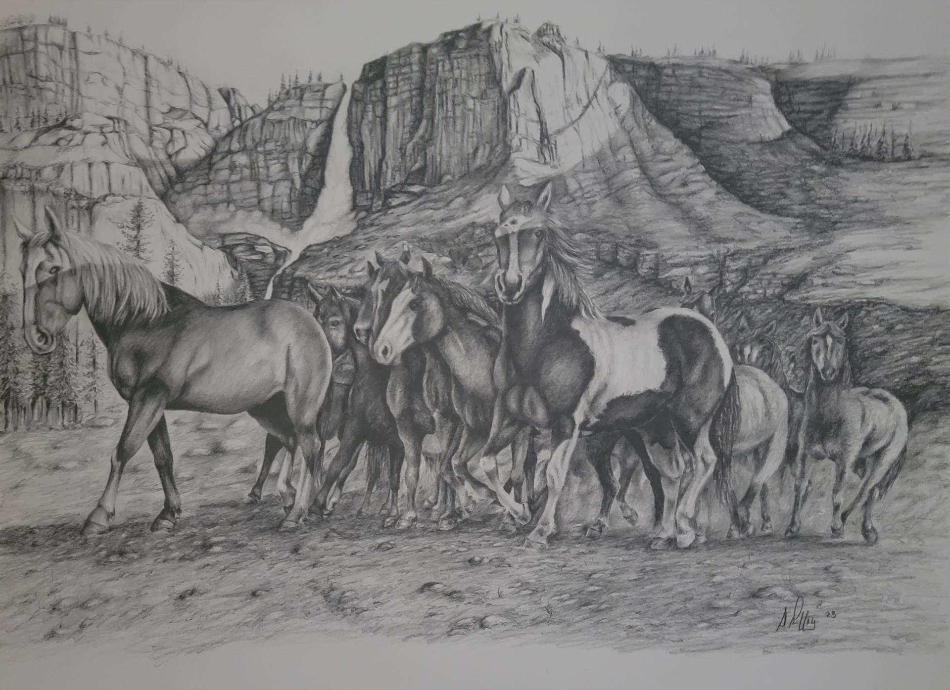 Yosemite Mustangs