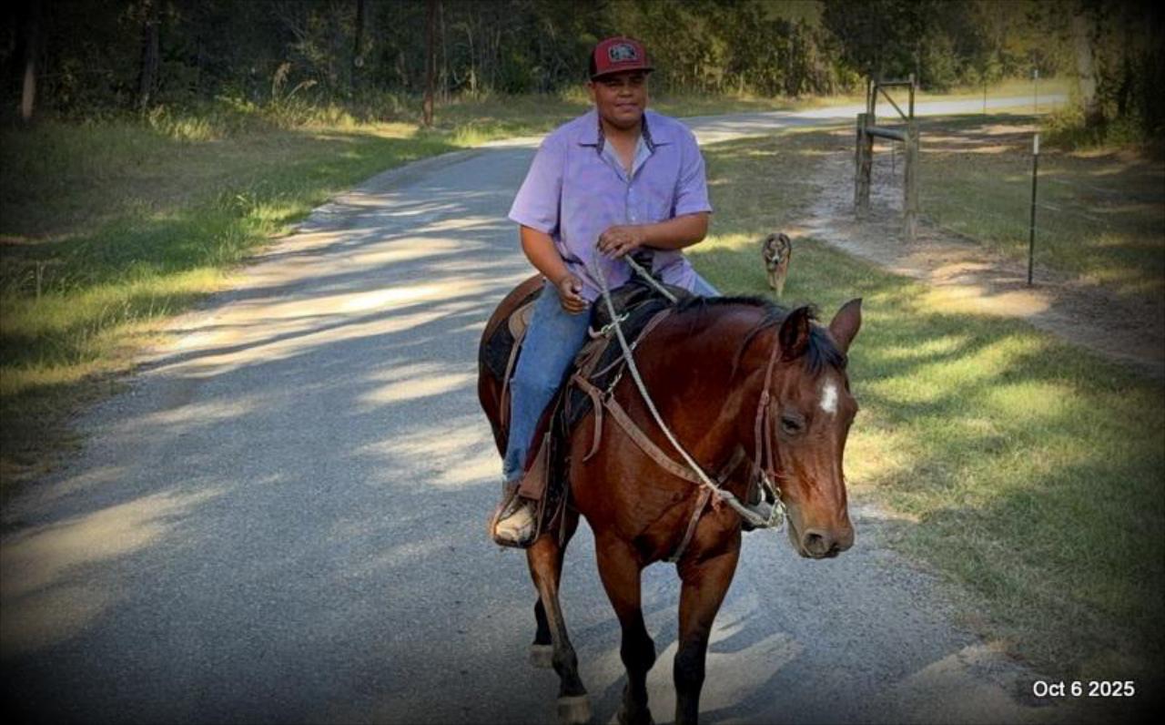 🌟 Meet Brownie – Your All-Around Ranch and Trail Partner 🌟