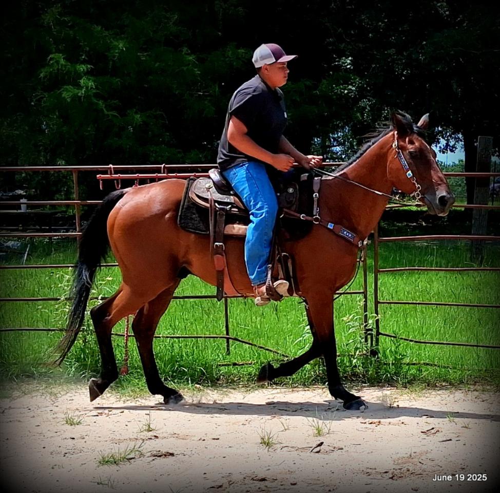 Sammy – A Comeback Story with a Heart of Gold