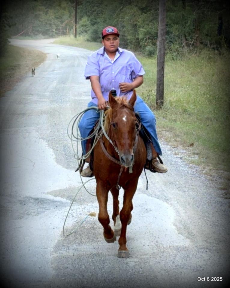 Biggie – Ranch-Tested, Family-Safe, and Ready to Ride!