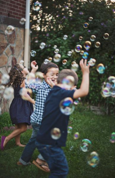 HEALTHY LAWNS KEEP OUR FAMILIES SAFE