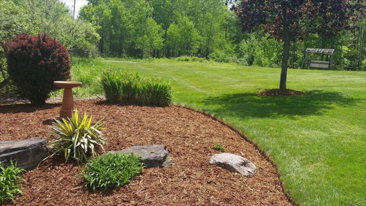 Fertilization & Weed Control