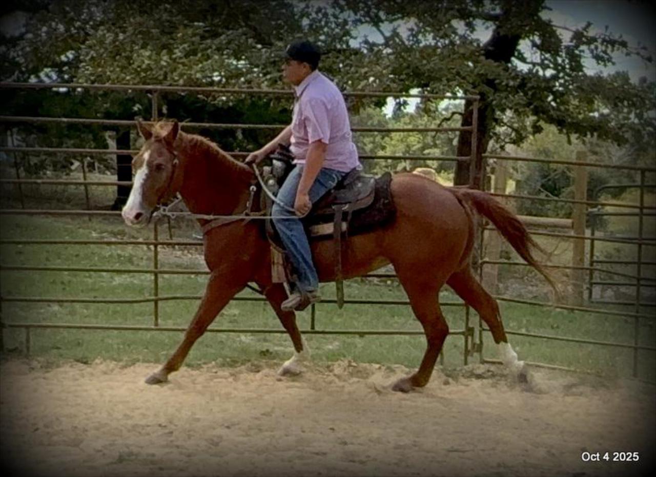 Ranger Safe for All Ages