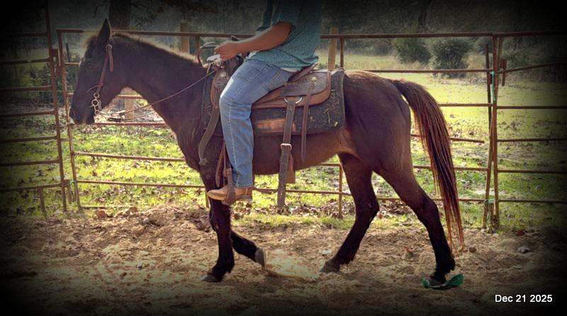 🩷❤️Pixie🩷❤️