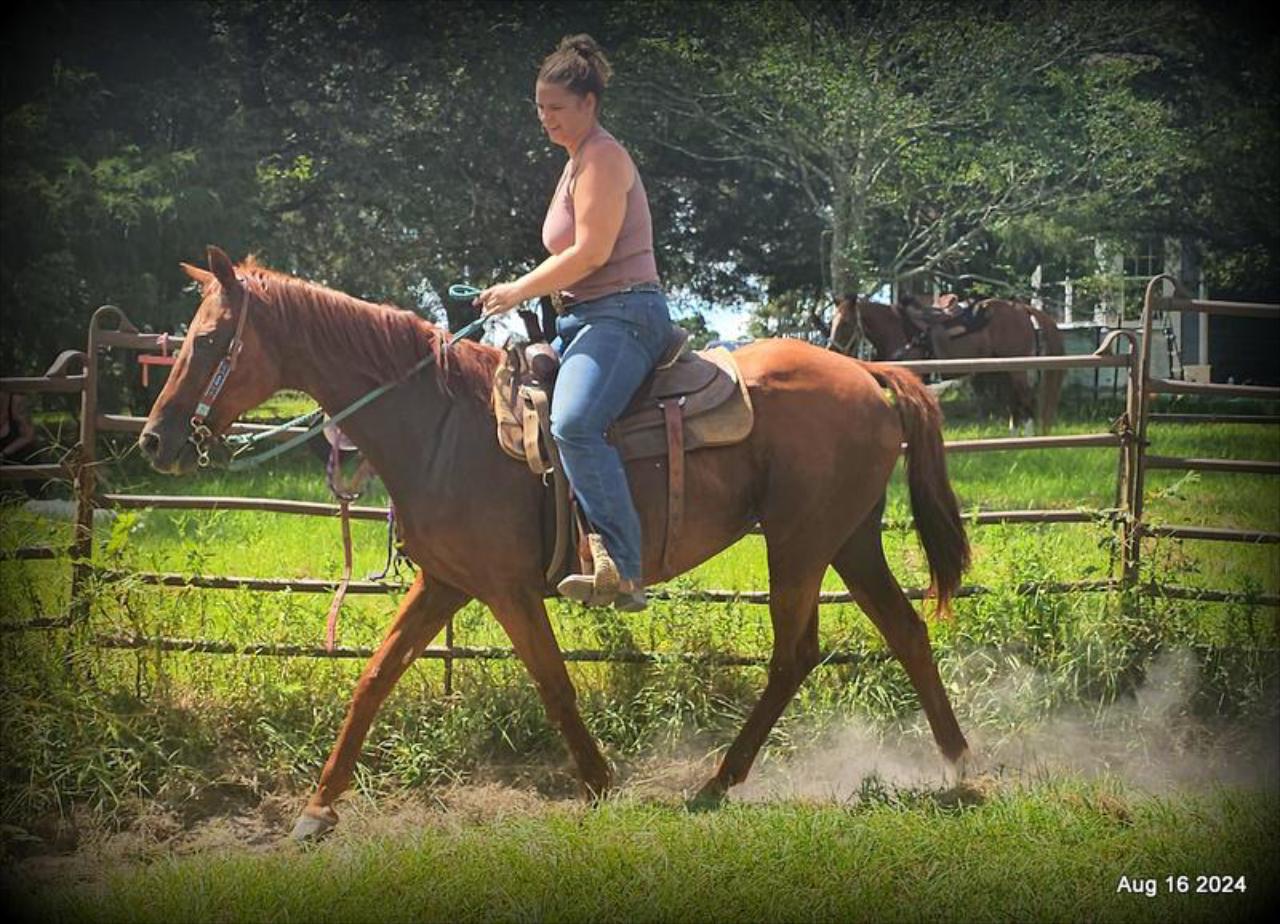 Big Red