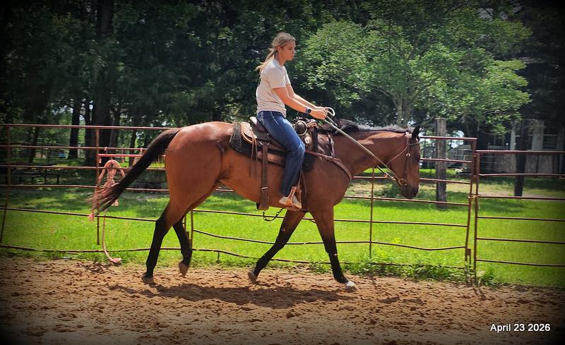 Darylslitlediablo (Diablo)