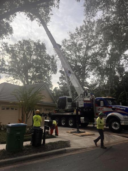 Crane Removal