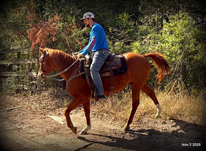 💚Ranger Safe for All Ages💚