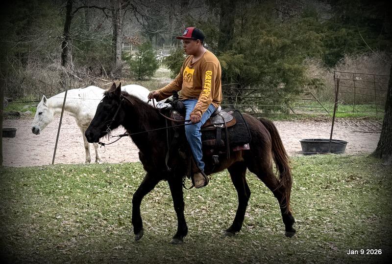 🩷❤️Pixie🩷❤️