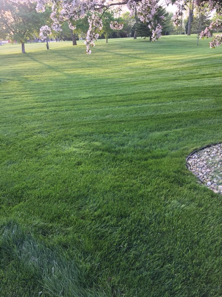 Weed Control & Prevention